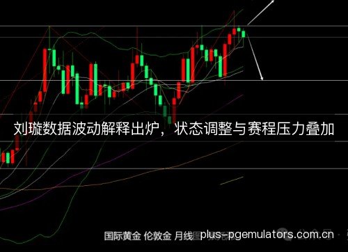 刘璇数据波动解释出炉,状态调整与赛程压力叠加 刘璇数据波动解释出炉,状态调整与赛程压力叠加