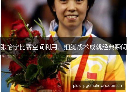 张怡宁比赛空间利用，细腻战术成就经典瞬间